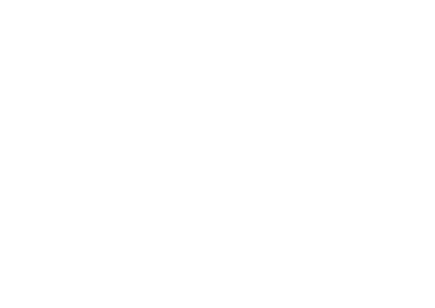 Vaigo logo