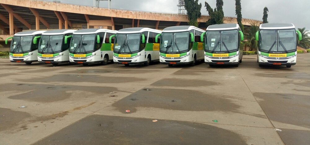 Services We Offered